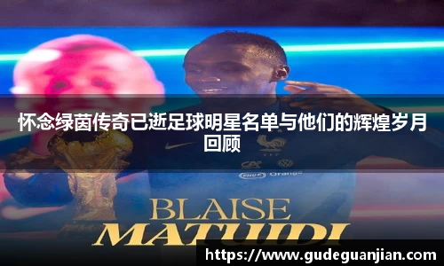 怀念绿茵传奇已逝足球明星名单与他们的辉煌岁月回顾