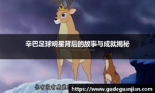 辛巴足球明星背后的故事与成就揭秘