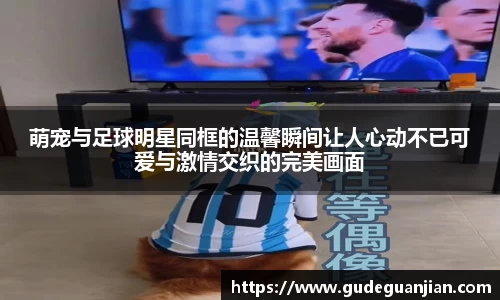 萌宠与足球明星同框的温馨瞬间让人心动不已可爱与激情交织的完美画面